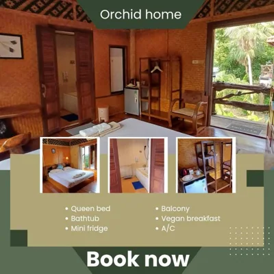 Orchid Home – Photos 4