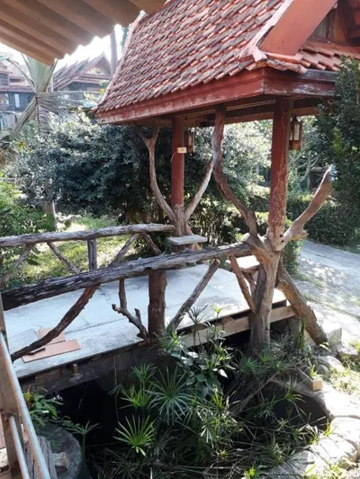 Orchid Home – Photos 15